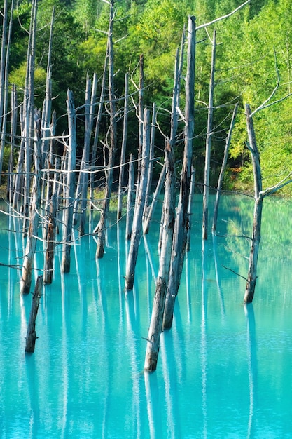 Foto lagoa azul em biei