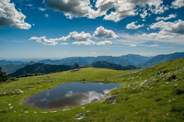 Lagoa como bebedouro para animais