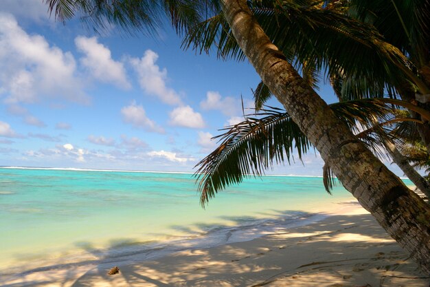 Lagoa de Aitutaki e Rarotonga, atóis remotos Oceano Pacífico, Ilhas Cook