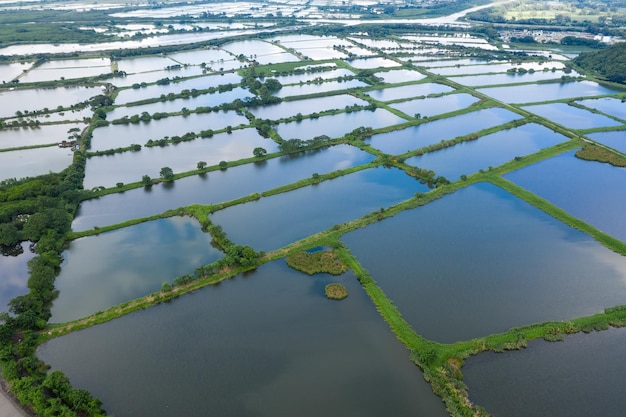 Lagoa de incubação de peixes de vista aérea em Hong Kong