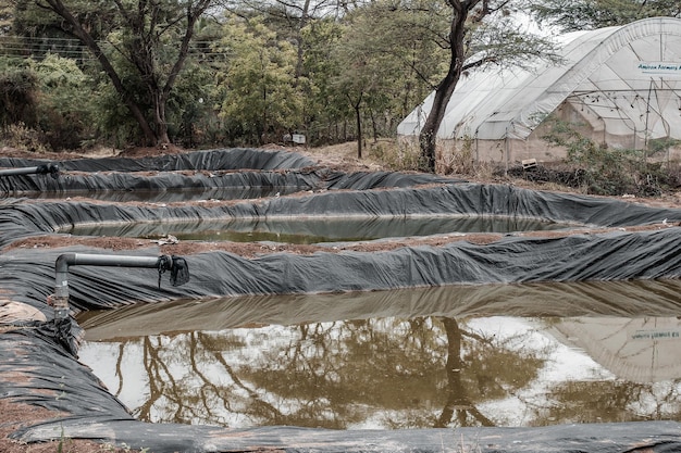 Lagoa de piscicultura numa exploração