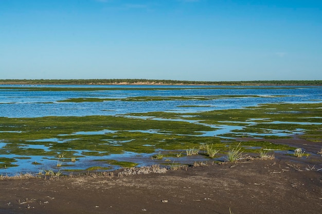 Lagoa dos Pampas Paisagem