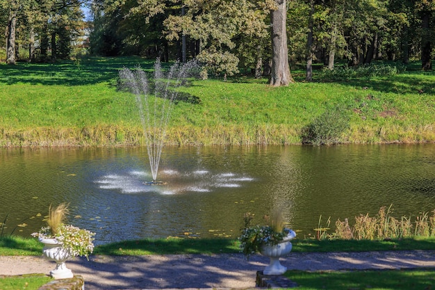 lagoa e fonte no parque da cidade no outono