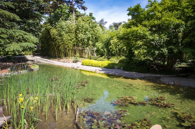 Lagoa em um jardim japonês