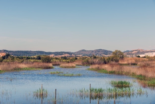 Lagoa em um prado com montanhas ao fundo em um dia ensolarado