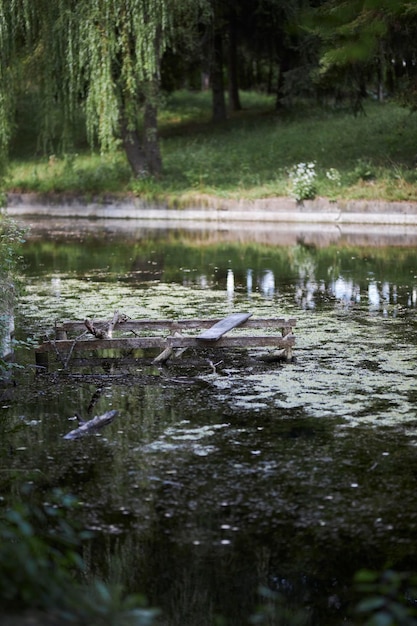 Lagoa fechada Paisagem de um lago na floresta