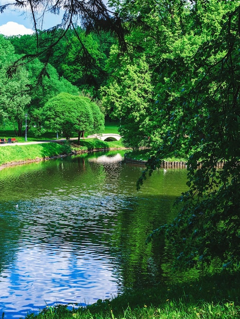 Lagoa no parque na primavera