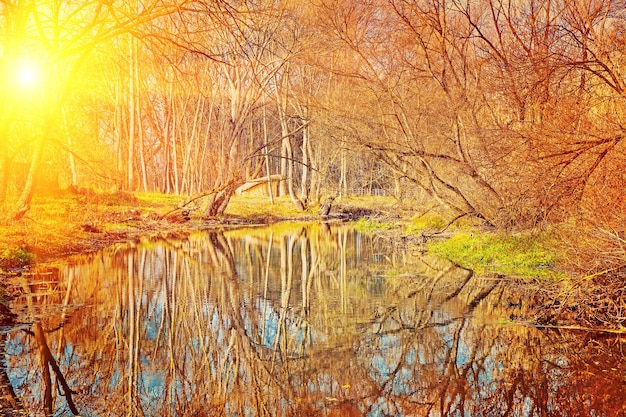 Lagoa pequena no parque de outono ao pôr do sol instagram stile