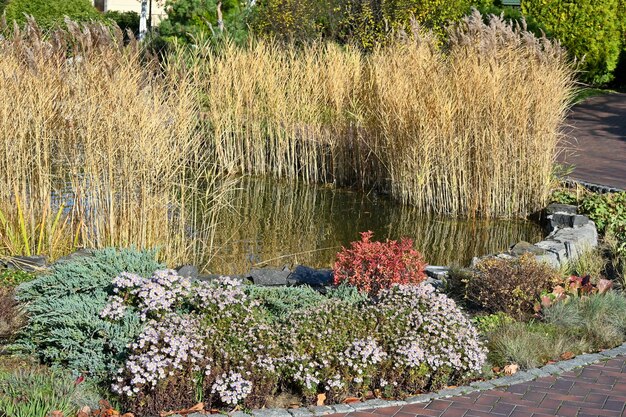 Lagoa pitoresca no parque da cidade