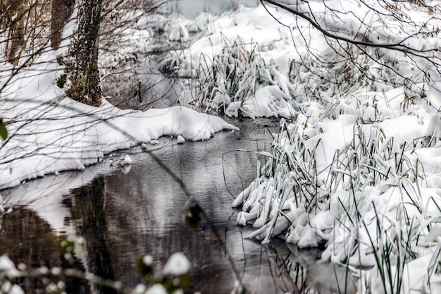 Lagos de inverno plitvice