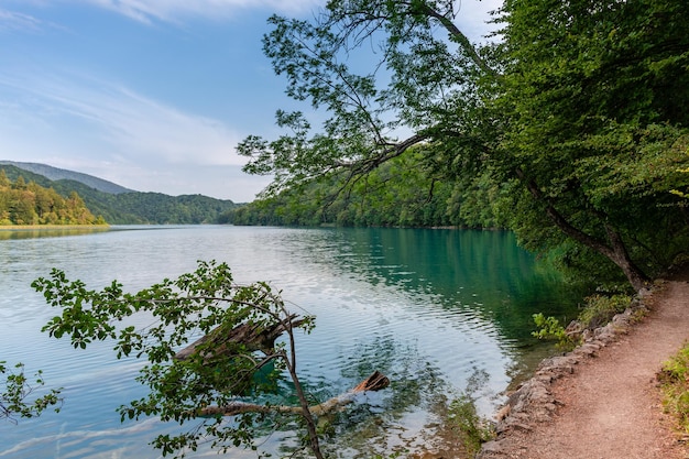 Lagos de Plitvice en Croacia hermoso paisaje de verano con agua turquesa