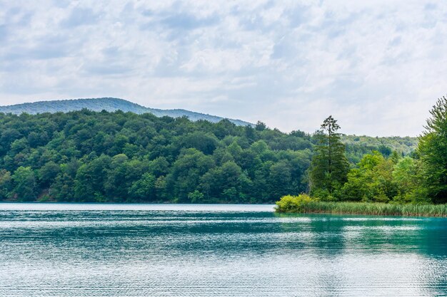 Lagos de Plitvice en Croacia hermoso paisaje de verano con agua turquesa