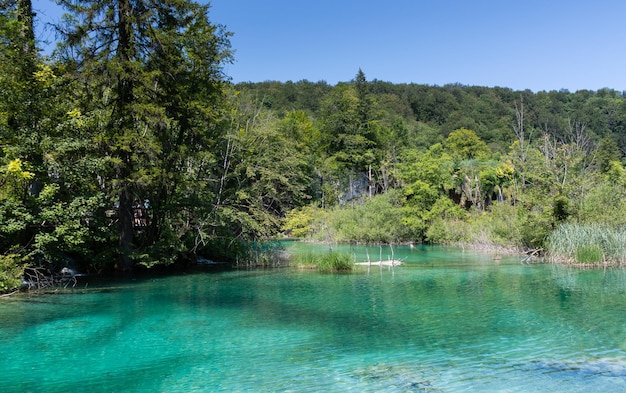 Lagos de Plitvice en Croacia hermoso paisaje de verano con agua turquesa