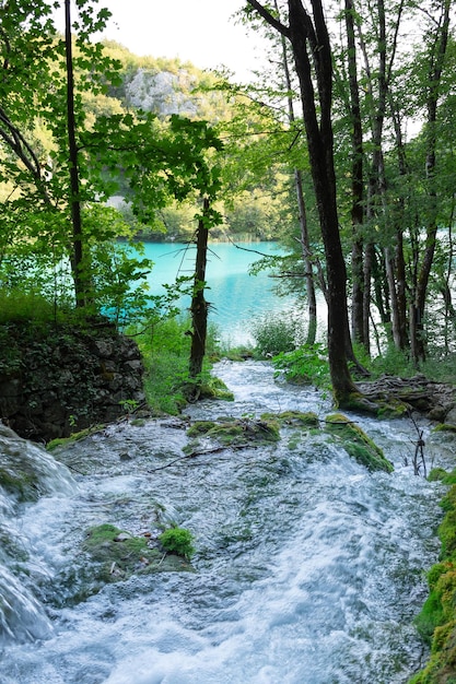 Foto lagos de plitvice en croacia hermoso paisaje de verano con cascadas
