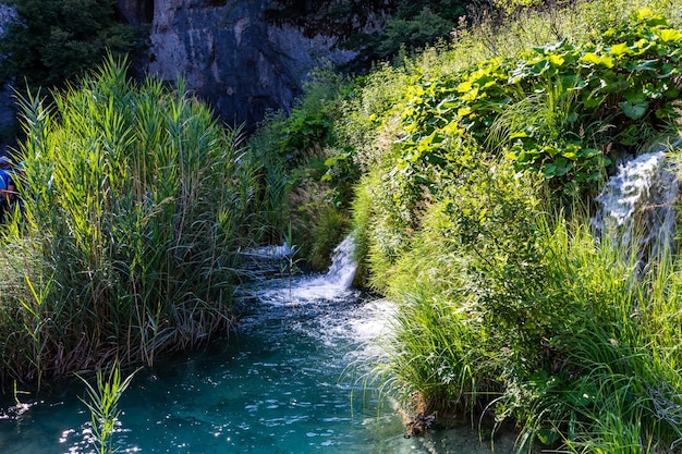 Lagos de Plitvice en Croacia hermoso paisaje de verano con cascadas