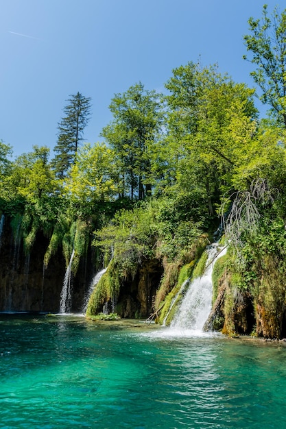 Lagos de Plitvice en Croacia hermoso paisaje de verano con cascadas