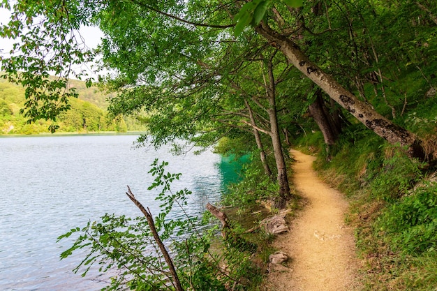 Lagos Plitvice na Croácia bela paisagem de verão com água turquesa