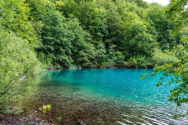 Lagos plitvice na croácia bela paisagem de verão com água turquesa