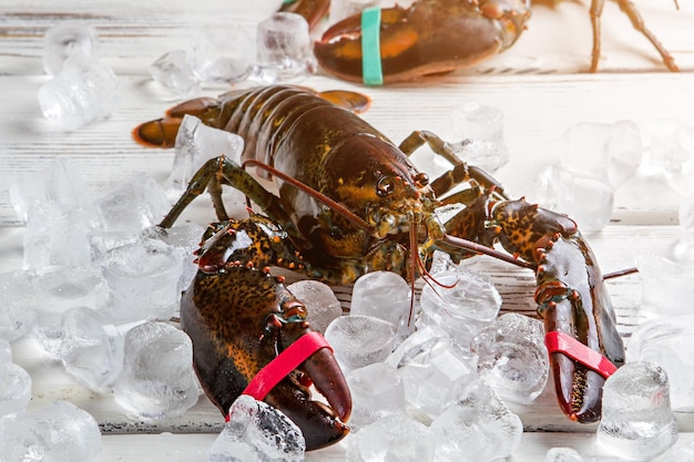 Lagostas cruas e cubos de gelo. lagostas com garras atadas. o chef virá em breve. crustáceos na mesa de madeira.