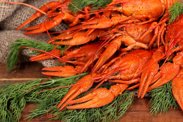 Lagostins cozidos saborosos com erva-doce na mesa em fundo de saco