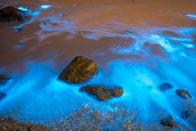 Foto las lágrimas azules noctiluca scintillans fotografiadas en matsu taiwán