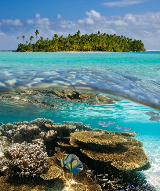 Laguna Aitutaki Islas Cook Pacífico Sur