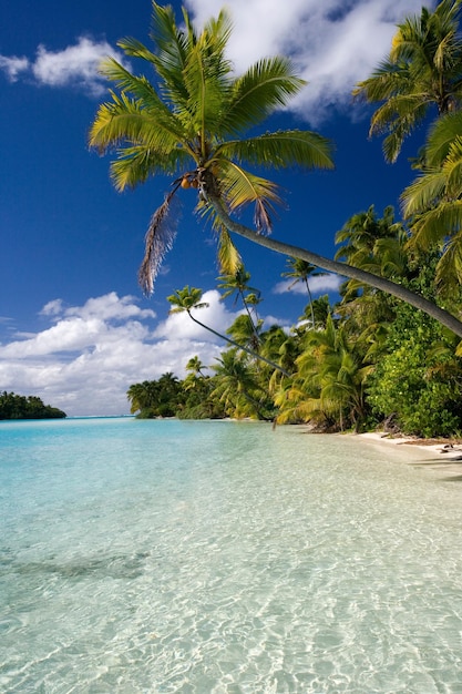 Laguna Aitutaki de las Islas Cook