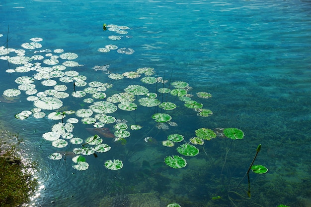 Foto laguna de bacalar laguna en méxico maya