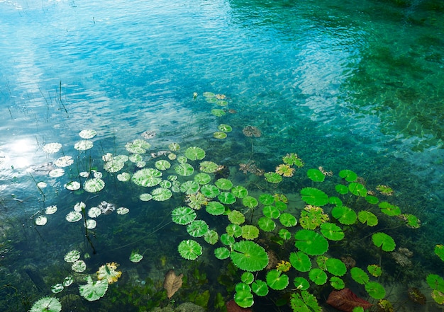 Laguna de Bacalar Laguna en México Maya