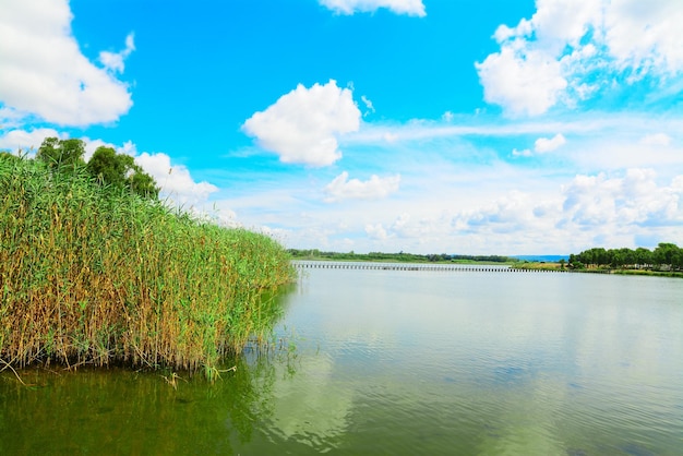 Laguna de Calik bajo un cielo nublado Cerdeña