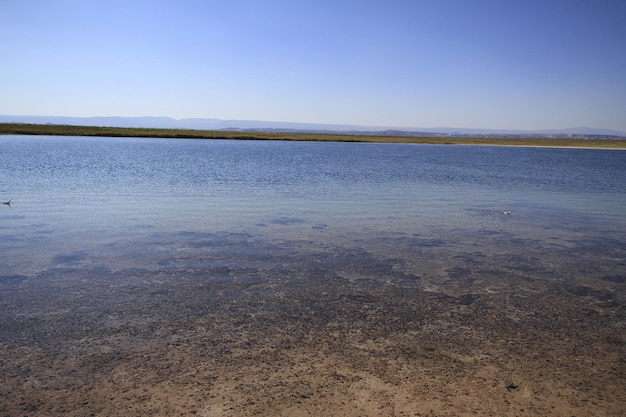 Laguna Cejar Atacama Chile