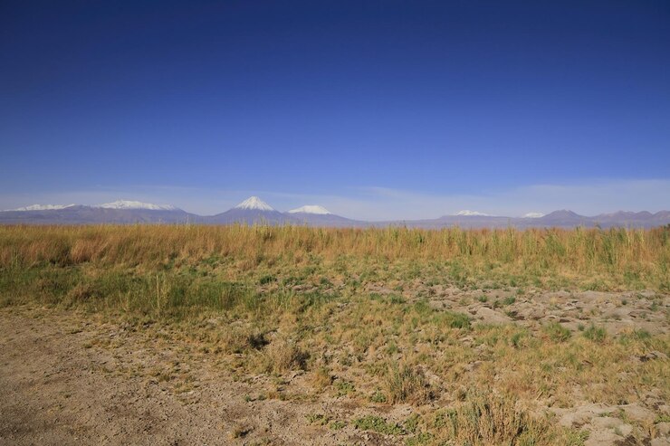 Foto laguna cejar atacama chile