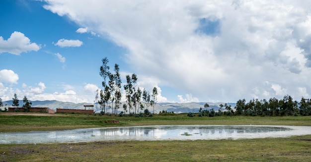 laguna cercana con árboles distantes