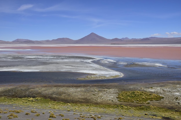 Laguna Colorada auf Eduardo Avaroa National Reserve in Uyuni Bolivien auf 4300 m über dem Meeresspiegel