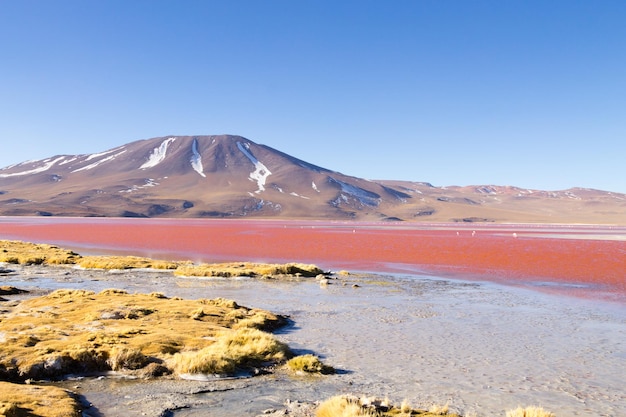 Laguna Colorada Landschaft Bolivien Schönes bolivianisches Panorama Rotes Wasser Lagune