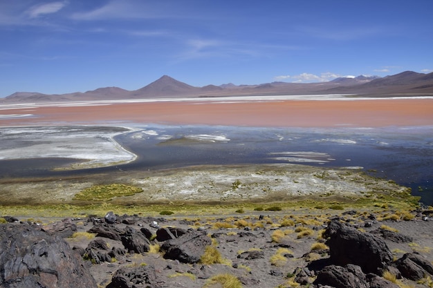 Laguna Colorada na Reserva Nacional Eduardo Avaroa em Uyuni Bolívia a 4300 m acima do nível do mar