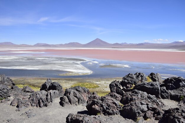 Laguna Colorada na Reserva Nacional Eduardo Avaroa em Uyuni Bolívia a 4300 m acima do nível do mar