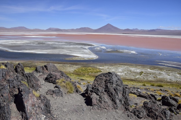 Laguna Colorada na Reserva Nacional Eduardo Avaroa em Uyuni Bolívia a 4300 m acima do nível do mar