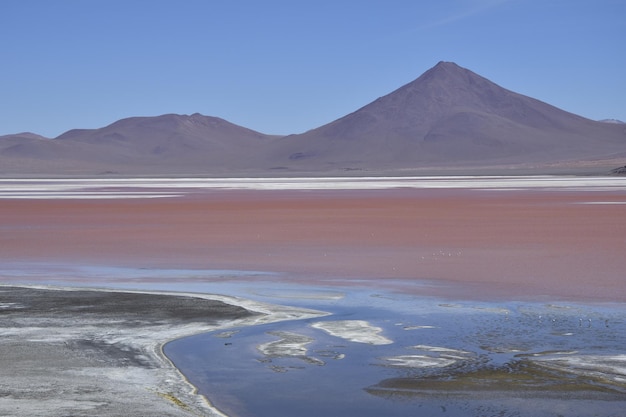 Laguna Colorada en la Reserva Nacional Eduardo Avaroa en Uyuni Bolivia a 4300 m sobre el nivel del mar