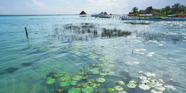 Laguna de bacalar lagoon no méxico maia