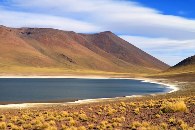 Foto laguna miniques es el lago al lado de laguna miscanti.