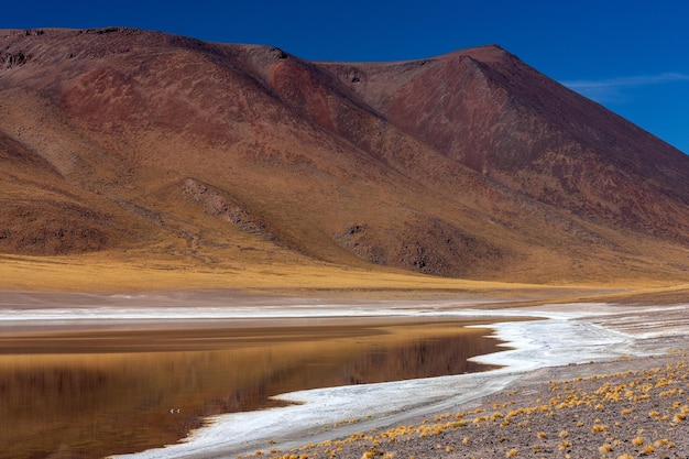 Laguna Miscanti en lo alto del altiplano Desierto de Atacama Chile