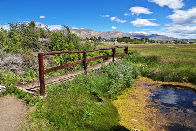 Laguna Nimez Reserva in El Calafate, Patagonien, Argentinien