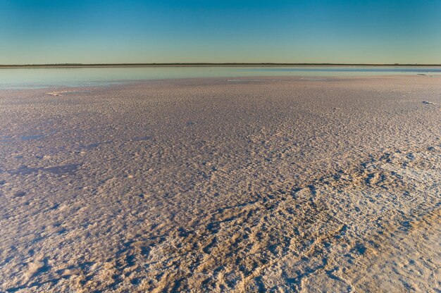 Laguna de sal en ambiente pampeano, provincia de La Pampa, Patagonia, Argentina