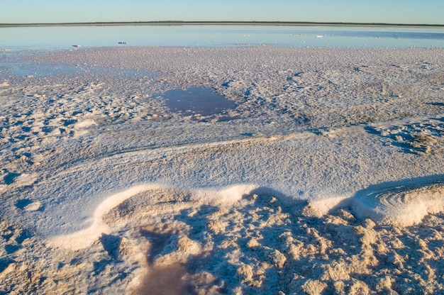 Laguna de sal en el paisaje pampeano Provincia de La Pampa Patagonia Argentina