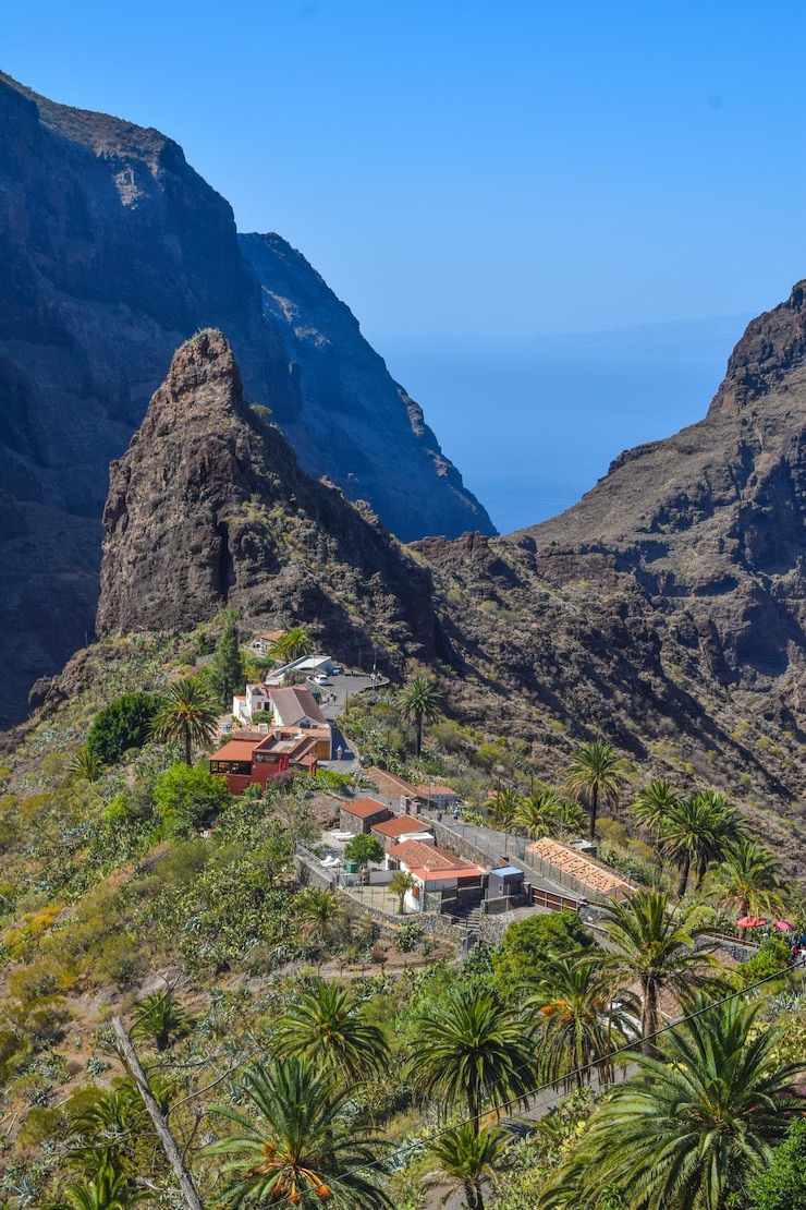 Foto la laguna tenerife islas canarias iglesia campanario