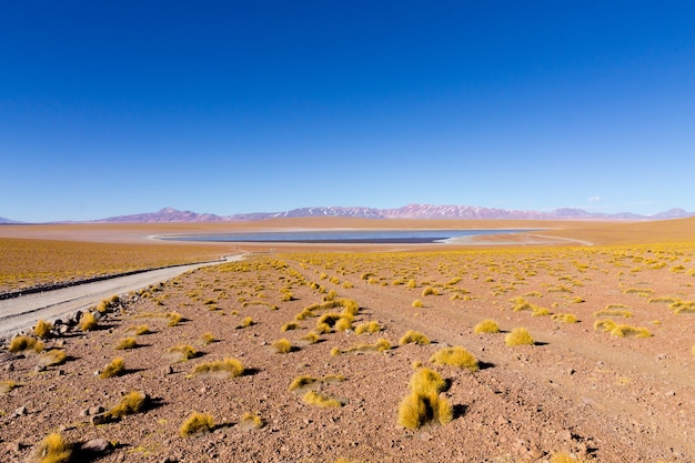 Lagune Kollpa Kkota in Bolivien