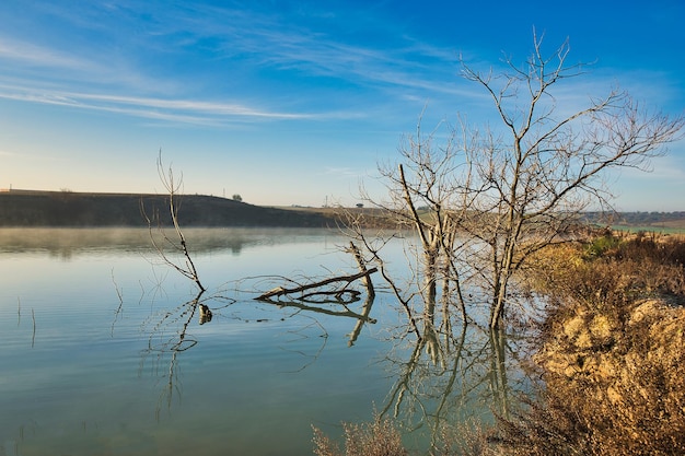 Lagunenlandschaft mit trockenen Bäumen im Wasser.