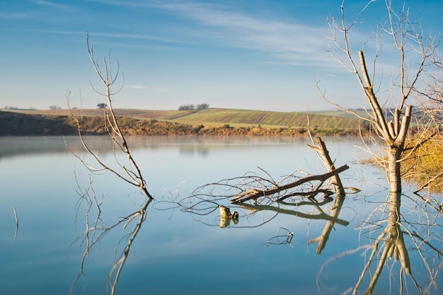 Lagunenlandschaft mit trockenen Bäumen im Wasser.