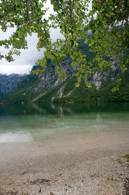 Lake Bohinj